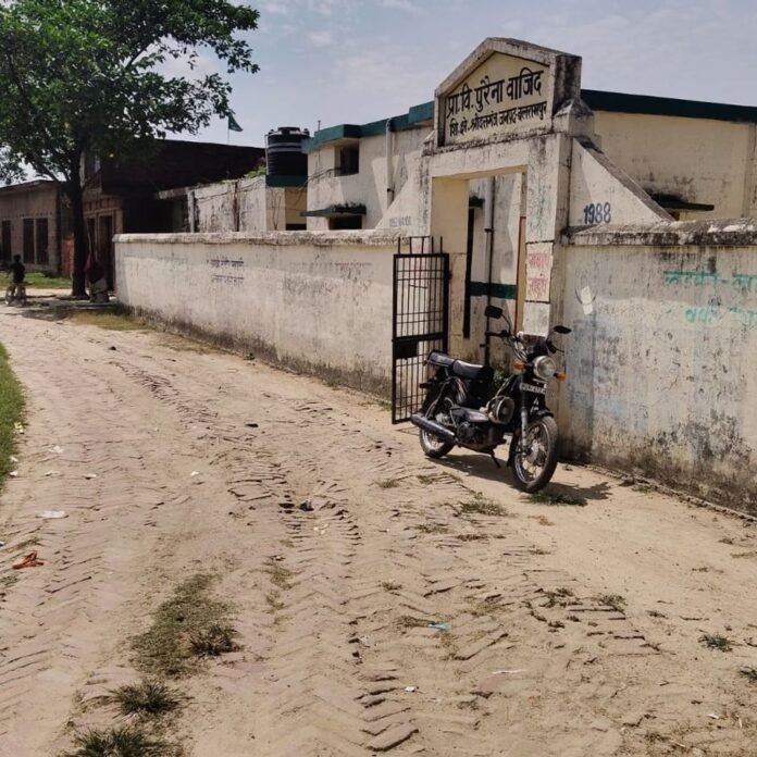 बलरामपुर में दो कच्चे रास्तों को पक्का कराने की मांग:श्रीदत्तगंज के पुरैना वाजिद गांव में 1.2 किलोमीटर सड़क के डामरीकरण की मांग