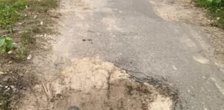 प्रधानमंत्री ग्रामीण सड़क जर्जर:लालपुर चंदा झार के जनकपुर में जगह-जगह टूटी, राहगीर परेशान
