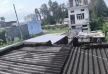 Payagpur Khajuri News | 11kV Power Line Hazard DM Complaint Payagpur Khajuri News | 11kV Power Line Hazard DM Complaint