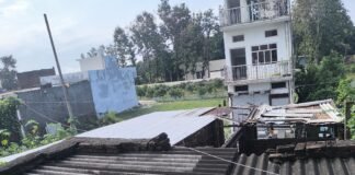 Payagpur Khajuri News | 11kV Power Line Hazard DM Complaint Payagpur Khajuri News | 11kV Power Line Hazard DM Complaint