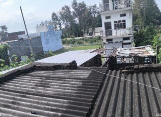 Payagpur Khajuri News | 11kV Power Line Hazard DM Complaint Payagpur Khajuri News | 11kV Power Line Hazard DM Complaint