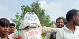 सुभाष आर्मी ने शिक्षा विभाग के बीएसए का पुतला फूंका:कैसरगंज में बड़े आंदोलन की चेतावनी, कई बार शिकायत के बाद भी नहीं हुई कार्रवाई सुभाष आर्मी ने शिक्षा विभाग के बीएसए का पुतला फूंका:कैसरगंज में बड़े आंदोलन की चेतावनी, कई बार शिकायत के बाद भी नहीं हुई कार्रवाई
