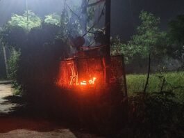 टीचर कॉलोनी में 250 केबीए ट्रांसफार्मर में लगी आग:वार्ड 11, 12 और 15 की बिजली सप्लाई ठप, 2000 आबादी प्रभावित