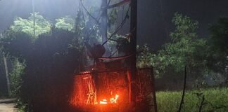 टीचर कॉलोनी में 250 केबीए ट्रांसफार्मर में लगी आग:वार्ड 11, 12 और 15 की बिजली सप्लाई ठप, 2000 आबादी प्रभावित