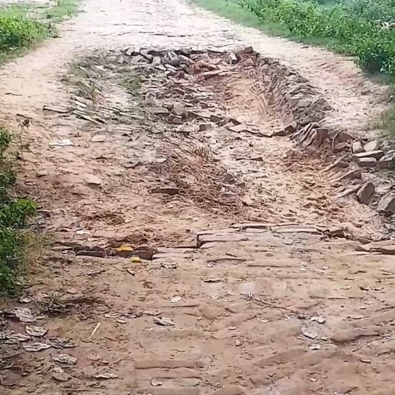 कटकुइया-सेहरिया मार्ग पर गड्ढे और जलभराव:जमुनहा ब्लॉक में राहगीरों को आने-जाने में परेशानी, ग्रामीणों ने मरम्मत की मांग की