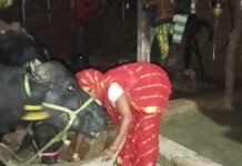 स्वयं सहायता समूह से जुड़कर उमादेवी ने बदली अपनी जिंदगी:40 हजार का कर्ज लेकर शुरू किया पशुपालन, अब 2 लाख की पूंजी स्वयं सहायता समूह से जुड़कर उमादेवी ने बदली अपनी जिंदगी:40 हजार का कर्ज लेकर शुरू किया पशुपालन, अब 2 लाख की पूंजी