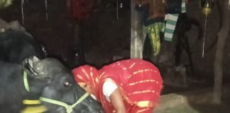 स्वयं सहायता समूह से जुड़कर उमादेवी ने बदली अपनी जिंदगी:40 हजार का कर्ज लेकर शुरू किया पशुपालन, अब 2 लाख की पूंजी स्वयं सहायता समूह से जुड़कर उमादेवी ने बदली अपनी जिंदगी:40 हजार का कर्ज लेकर शुरू किया पशुपालन, अब 2 लाख की पूंजी