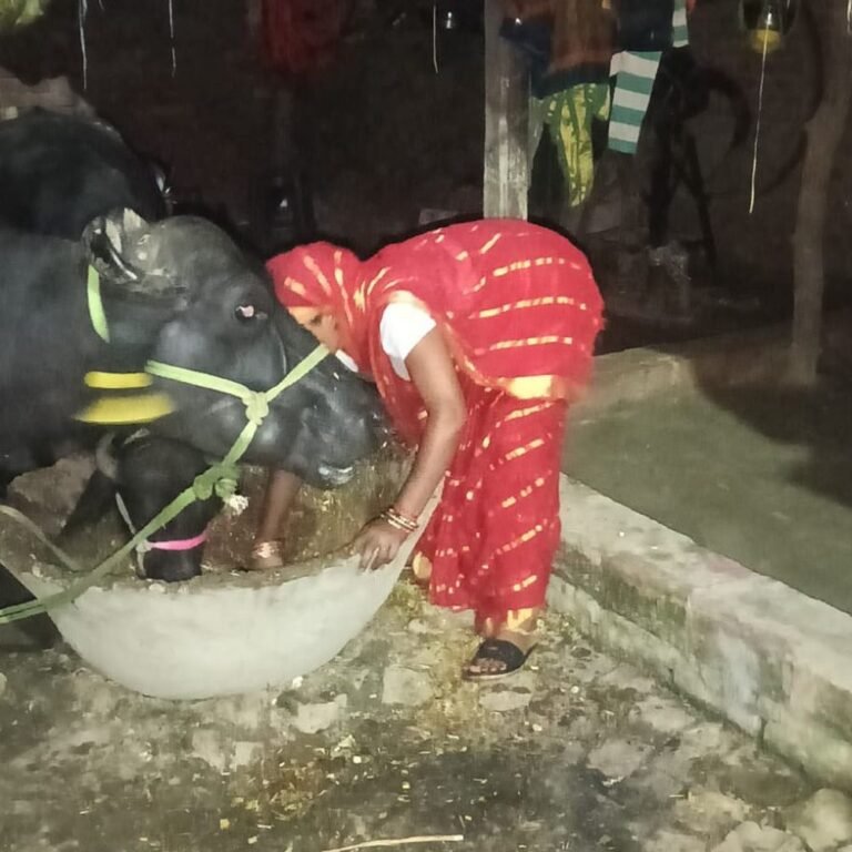 स्वयं सहायता समूह से जुड़कर उमादेवी ने बदली अपनी जिंदगी:40 हजार का कर्ज लेकर शुरू किया पशुपालन, अब 2 लाख की पूंजी