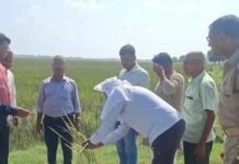 डुमरियागंज में बाढ़ से बर्बाद फसलों का सर्वे शुरू:किसानों को कृषि निवेश अनुदान देने के लिए राहत पोर्टल पर दर्ज होगा ब्यौरा डुमरियागंज में बाढ़ से बर्बाद फसलों का सर्वे शुरू:किसानों को कृषि निवेश अनुदान देने के लिए राहत पोर्टल पर दर्ज होगा ब्यौरा