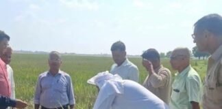 डुमरियागंज में बाढ़ से बर्बाद फसलों का सर्वे शुरू:किसानों को कृषि निवेश अनुदान देने के लिए राहत पोर्टल पर दर्ज होगा ब्यौरा डुमरियागंज में बाढ़ से बर्बाद फसलों का सर्वे शुरू:किसानों को कृषि निवेश अनुदान देने के लिए राहत पोर्टल पर दर्ज होगा ब्यौरा