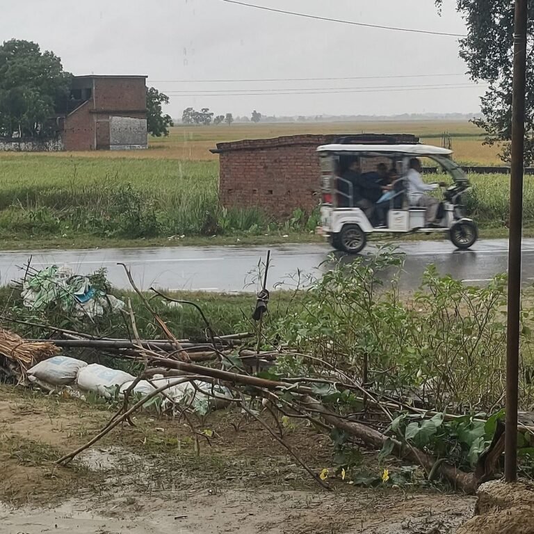 सिसवा ब्लॉक में बारिश से पकी धान की फसल भीगी:महराजगंज में कटाई के समय बारिश से नुकसान की आशंका, गेरमा के किसानों ने जताई चिंता