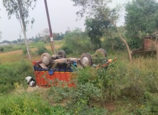 बहराइच में छुट्टा पशुओं को बचाने में पिकअप पलटी:केले से लदी गाड़ी क्षतिग्रस्त, कोई जनहानि नहीं बहराइच में छुट्टा पशुओं को बचाने में पिकअप पलटी:केले से लदी गाड़ी क्षतिग्रस्त, कोई जनहानि नहीं