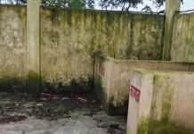 Piprapadrupur Waste Management Center Neglect लाखों खर्च के बाद भी कचरा घर बदहाल, छत उड़ी। - Dainik Bhaskar