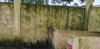 Piprapadrupur Waste Management Center Neglect लाखों खर्च के बाद भी कचरा घर बदहाल, छत उड़ी। - Dainik Bhaskar