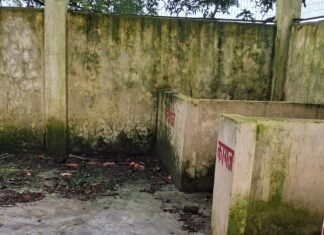 Piprapadrupur Waste Management Center Neglect लाखों खर्च के बाद भी कचरा घर बदहाल, छत उड़ी। - Dainik Bhaskar
