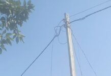 दीकौली में खंभे का तार टूटने से बिजली गुल:लोग अंधेरे और गर्मी से परेशान, काम ठप; जंगली जानवरों का भी खतरा