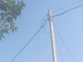 दीकौली में खंभे का तार टूटने से बिजली गुल:लोग अंधेरे और गर्मी से परेशान, काम ठप; जंगली जानवरों का भी खतरा