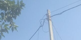 दीकौली में खंभे का तार टूटने से बिजली गुल:लोग अंधेरे और गर्मी से परेशान, काम ठप; जंगली जानवरों का भी खतरा