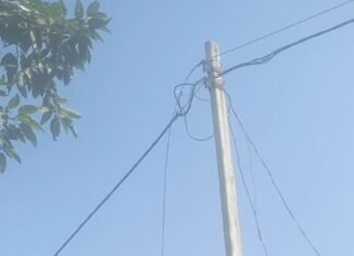 दीकौली में खंभे का तार टूटने से बिजली गुल:लोग अंधेरे और गर्मी से परेशान, काम ठप; जंगली जानवरों का भी खतरा