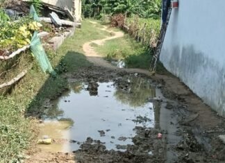 इकौना के मिस्त्री पुरवा में कच्ची सड़क पर भरा पानी:स्कूली बच्चों और ग्रामीणों को आने-जाने में परेशानी, समाधान की मांग