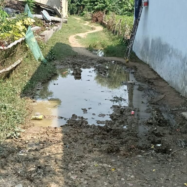 इकौना के मिस्त्री पुरवा में कच्ची सड़क पर भरा पानी:स्कूली बच्चों और ग्रामीणों को आने-जाने में परेशानी, समाधान की मांग