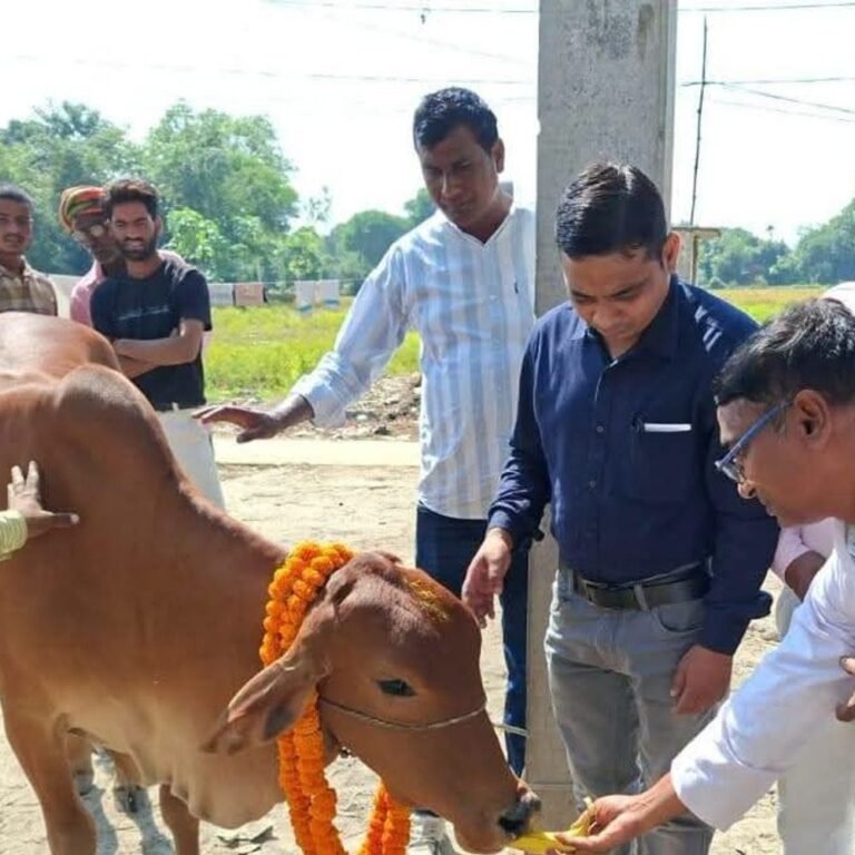 पिठिया लश्करी पशु आरोग्य मेले में 457 पशुओं का उपचार:पशुपालकों को दी सरकारी योजनाओं की जानकारी
