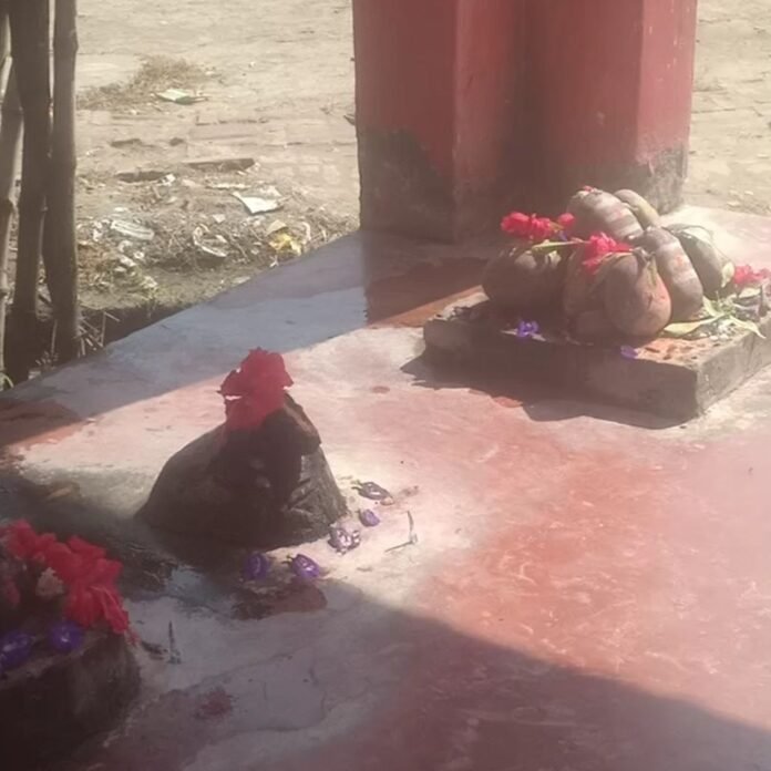 श्रावस्ती के दीकौली काली माता मंदिर में नवरात्री पूजा:ग्रामीण सुबह-शाम करते हैं धूप आरती, लगाते हैं जयकारे और दुर्गा चालीसा पाठ