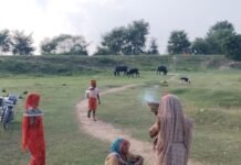 पितृपक्ष के आखिरी दिन पुरखों की विदाई:रामनगर-सेमरा में नदी और पोखरों में तर्पण सामग्री का विसर्जन पितृपक्ष के आखिरी दिन पुरखों की विदाई:रामनगर-सेमरा में नदी और पोखरों में तर्पण सामग्री का विसर्जन