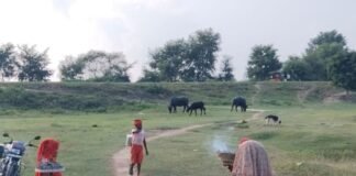 पितृपक्ष के आखिरी दिन पुरखों की विदाई:रामनगर-सेमरा में नदी और पोखरों में तर्पण सामग्री का विसर्जन पितृपक्ष के आखिरी दिन पुरखों की विदाई:रामनगर-सेमरा में नदी और पोखरों में तर्पण सामग्री का विसर्जन