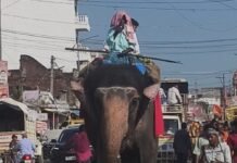 महाराजगंज के पनियरा में 51 कन्याओं संग निकली कलश यात्रा:नौ दिवसीय महायज्ञ का शुभारंभ, रोहिन नदी से जल भरकर 19 अक्टूबर को भंडारा महाराजगंज के पनियरा में 51 कन्याओं संग निकली कलश यात्रा:नौ दिवसीय महायज्ञ का शुभारंभ, रोहिन नदी से जल भरकर 19 अक्टूबर को भंडारा