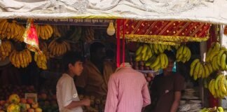नवरात्र पर सज गया चुनरी और फूलों का बाजार:पूजा सामग्री, फल-मिठाई और कपड़ों की दुकानों पर बढ़ी ग्राहकों की चहल-पहल नवरात्र पर सज गया चुनरी और फूलों का बाजार:पूजा सामग्री, फल-मिठाई और कपड़ों की दुकानों पर बढ़ी ग्राहकों की चहल-पहल