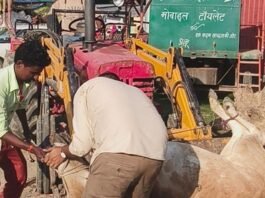 तुलसीपुर में घायल गौ माता की सेवा:नगर पंचायत की गाड़ी से गौशाला पहुंचाया, बेहतर इलाज की व्यवस्था की तुलसीपुर में घायल गौ माता की सेवा:नगर पंचायत की गाड़ी से गौशाला पहुंचाया, बेहतर इलाज की व्यवस्था की