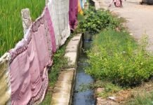इटहिया में सफाई नहीं होने से ग्रामीण खुद साफ कर:गंदगी से पटी नालियां, जल निकासी ठप; मच्छरों का प्रकोप बढ़ा, अधिकारियों से मांग