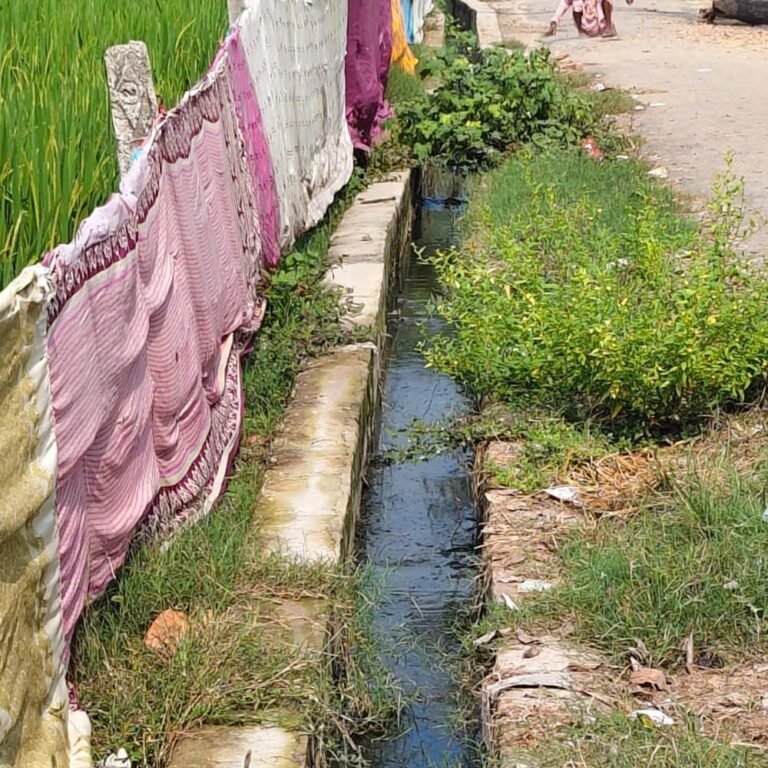 इटहिया में सफाई नहीं होने से ग्रामीण खुद साफ कर:गंदगी से पटी नालियां, जल निकासी ठप; मच्छरों का प्रकोप बढ़ा, अधिकारियों से मांग