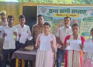 वन्य जीव सप्ताह में चित्रकला और निबंध प्रतियोगिता:श्रावस्ती के स्कूल में छात्रों ने दिखाया उत्साह, पर्यावरण संरक्षण का दिया संदेश