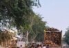 पयागपुर मुख्यमार्ग पर लकड़ी के ढेर से हादसे का खतरा:ट्रक खड़े कर लदती है लकड़ी, राहगीरों ने की शिकायत पयागपुर मुख्यमार्ग पर लकड़ी के ढेर से हादसे का खतरा:ट्रक खड़े कर लदती है लकड़ी, राहगीरों ने की शिकायत