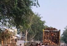 पयागपुर मुख्यमार्ग पर लकड़ी के ढेर से हादसे का खतरा:ट्रक खड़े कर लदती है लकड़ी, राहगीरों ने की शिकायत पयागपुर मुख्यमार्ग पर लकड़ी के ढेर से हादसे का खतरा:ट्रक खड़े कर लदती है लकड़ी, राहगीरों ने की शिकायत