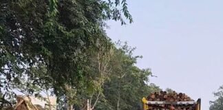 पयागपुर मुख्यमार्ग पर लकड़ी के ढेर से हादसे का खतरा:ट्रक खड़े कर लदती है लकड़ी, राहगीरों ने की शिकायत पयागपुर मुख्यमार्ग पर लकड़ी के ढेर से हादसे का खतरा:ट्रक खड़े कर लदती है लकड़ी, राहगीरों ने की शिकायत