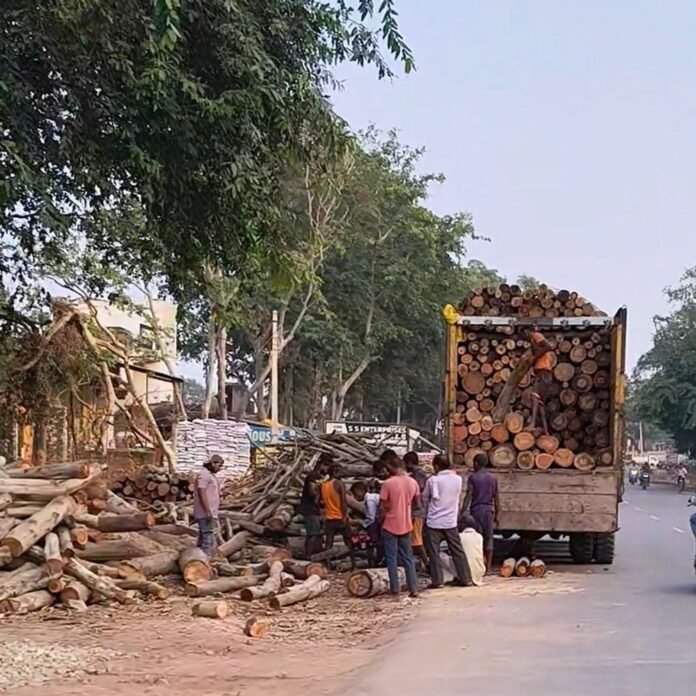 पयागपुर मुख्यमार्ग पर लकड़ी के ढेर से हादसे का खतरा:ट्रक खड़े कर लदती है लकड़ी, राहगीरों ने की शिकायत