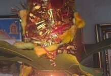 अलाउद्दीनपुर में शारदीय नवरात्र शुरू, कलश स्थापना हुई:श्रद्धालु मां शैलपुत्री की पूजा में जुटे, घरों और मंदिरों में भक्ति का माहौल अलाउद्दीनपुर में शारदीय नवरात्र शुरू, कलश स्थापना हुई:श्रद्धालु मां शैलपुत्री की पूजा में जुटे, घरों और मंदिरों में भक्ति का माहौल