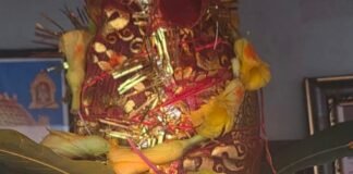 अलाउद्दीनपुर में शारदीय नवरात्र शुरू, कलश स्थापना हुई:श्रद्धालु मां शैलपुत्री की पूजा में जुटे, घरों और मंदिरों में भक्ति का माहौल अलाउद्दीनपुर में शारदीय नवरात्र शुरू, कलश स्थापना हुई:श्रद्धालु मां शैलपुत्री की पूजा में जुटे, घरों और मंदिरों में भक्ति का माहौल