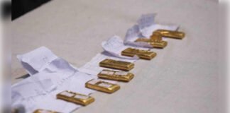 नेपाल: 20 किलो से ज्यादा सोना बरामद, चीनी नागरिक गिरफ्तार