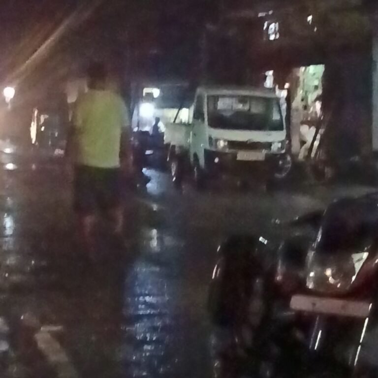Power Outage in Nasirganj Due to 33KV Line Fault