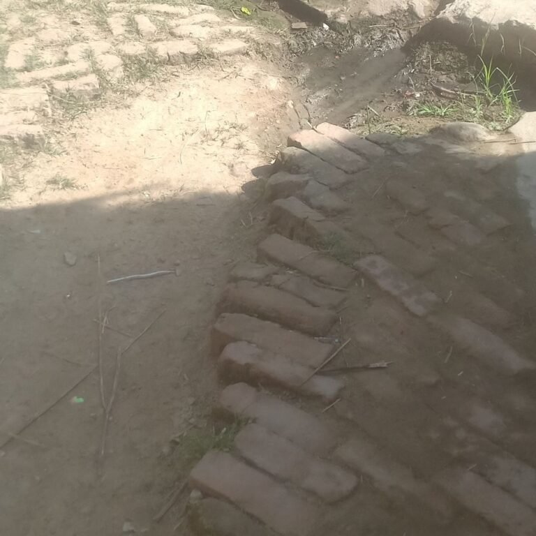 सोनवा में पाइपलाइन बिछाने से सड़क बनी नाली:बारिश में कीचड़ और दुर्गंध से लोग परेशान, बीमारियों का खतरा बढ़ा