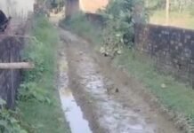 सिपहिया में आरसीसी सड़क न बनने से ग्रामीण परेशान:प्रधान और सेक्रेटरी पर गंभीर आरोप, जल्द सड़क बनाने की मांग सिपहिया में आरसीसी सड़क न बनने से ग्रामीण परेशान:प्रधान और सेक्रेटरी पर गंभीर आरोप, जल्द सड़क बनाने की मांग