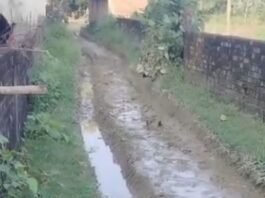 सिपहिया में आरसीसी सड़क न बनने से ग्रामीण परेशान:प्रधान और सेक्रेटरी पर गंभीर आरोप, जल्द सड़क बनाने की मांग