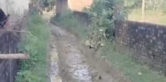 सिपहिया में आरसीसी सड़क न बनने से ग्रामीण परेशान:प्रधान और सेक्रेटरी पर गंभीर आरोप, जल्द सड़क बनाने की मांग सिपहिया में आरसीसी सड़क न बनने से ग्रामीण परेशान:प्रधान और सेक्रेटरी पर गंभीर आरोप, जल्द सड़क बनाने की मांग
