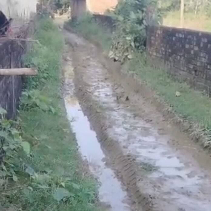 सिपहिया में आरसीसी सड़क न बनने से ग्रामीण परेशान:प्रधान और सेक्रेटरी पर गंभीर आरोप, जल्द सड़क बनाने की मांग