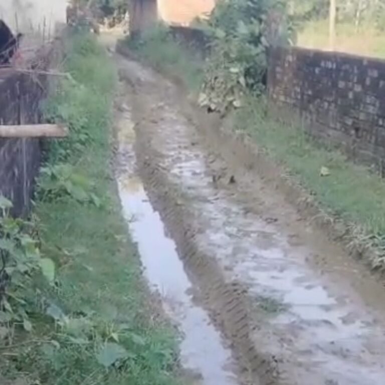सिपहिया में आरसीसी सड़क न बनने से ग्रामीण परेशान:प्रधान और सेक्रेटरी पर गंभीर आरोप, जल्द सड़क बनाने की मांग