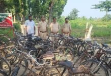 जंगल से जलौनी लकड़ी ले जा रही 18 साइकिल पकड़ीं:श्रावस्ती में तस्कर फरार हुए, देर शाम भिनगा कार्यालय से विभाग ने की कार्रवाई
